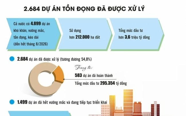 go vuong du an ton dong khoi thong tai san doi du