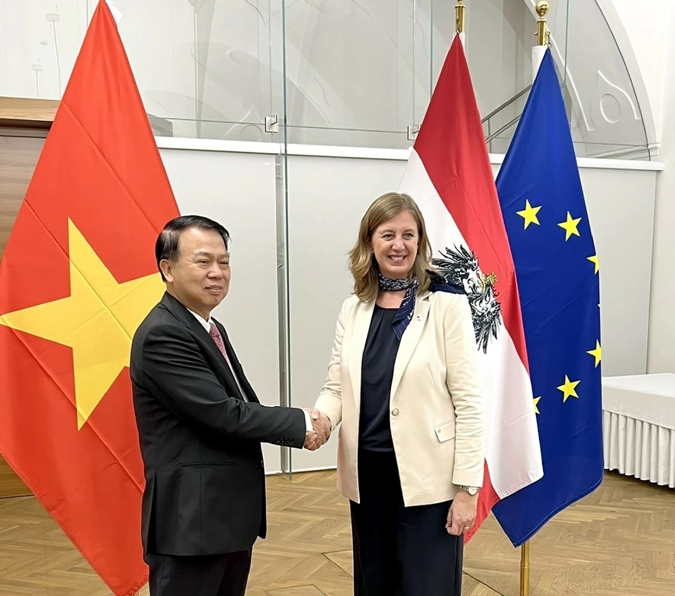 viet nam va cong hoa ao thuc day nang cao hieu qua hop tac kinh te tai chinh va dau tu