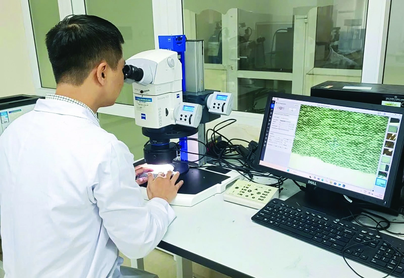 Đơn giản việc phân loại hàng hóa, tạo lực đẩy cho thương mại