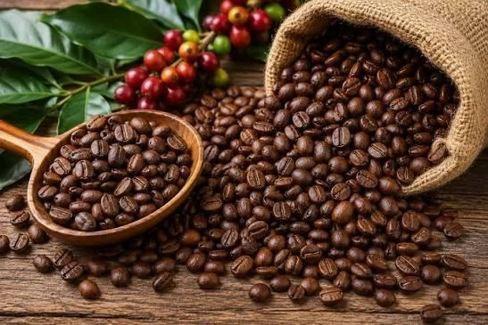 Ngày 17/9: Giá cà phê đảo chiều giảm mạnh, hồ tiêu ở mốc 141.000 đồng/kg giacaphe_1789544726.jpg
