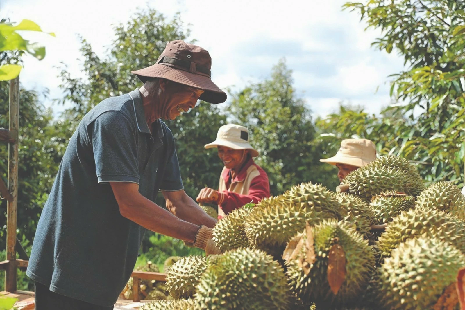 Khơi dòng xuất khẩu cho nông, lâm, thủy sản