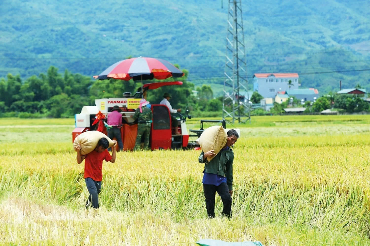 Chương trình mục tiêu quốc gia: Khẩn trương đưa vốn đến nơi cần Chương trình mục tiêu quốc gia: Khẩn trương đưa vốn đến nơi cần