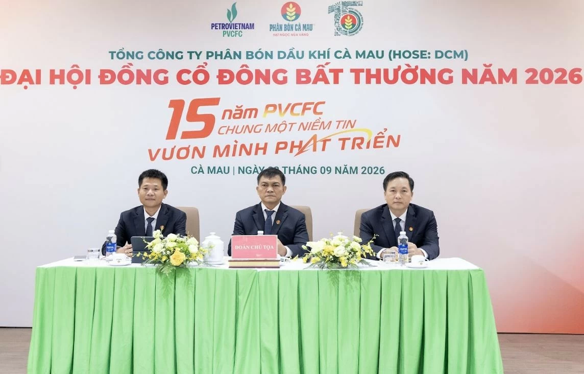 PVCFC: Lợi nhuận 8 tháng năm 2026 tăng 50% so với cùng kỳ PVCFC: Lợi nhuận 8 tháng năm 2026 tăng 50% so với cùng kỳ
