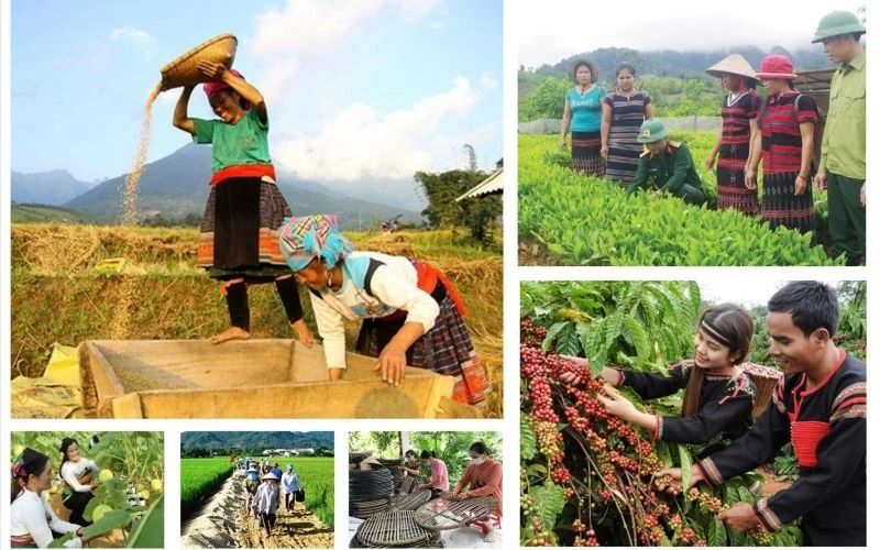 Sẽ có khung chính sách mới cho chương trình mục tiêu quốc gia Sẽ có khung chính sách mới cho chương trình mục tiêu quốc gia