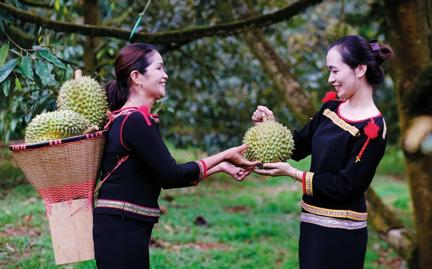 nang hieu qua nguon luc chuong trinh muc tieu quoc gia