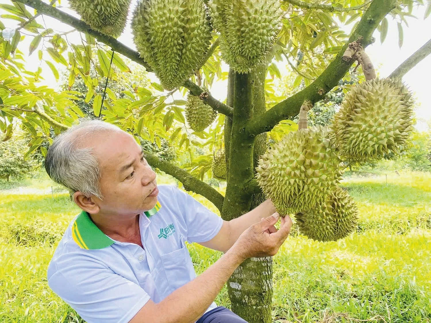 Khoa học công nghệ tạo lực đẩy mới cho nông nghiệp Khoa học công nghệ tạo lực đẩy mới cho nông nghiệp