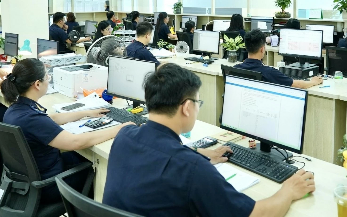 phan cap thu tuc hai quan bao dam ket noi thong suot khong phat sinh thao tac cho doanh nghiep