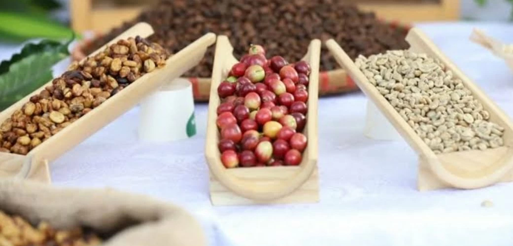 Ngày 9/10: Giá cà phê và hồ tiêu đồng loạt giảm mạnh
