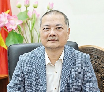 Xuất nhập khẩu tăng tốc, nâng vị thế doanh nghiệp nội