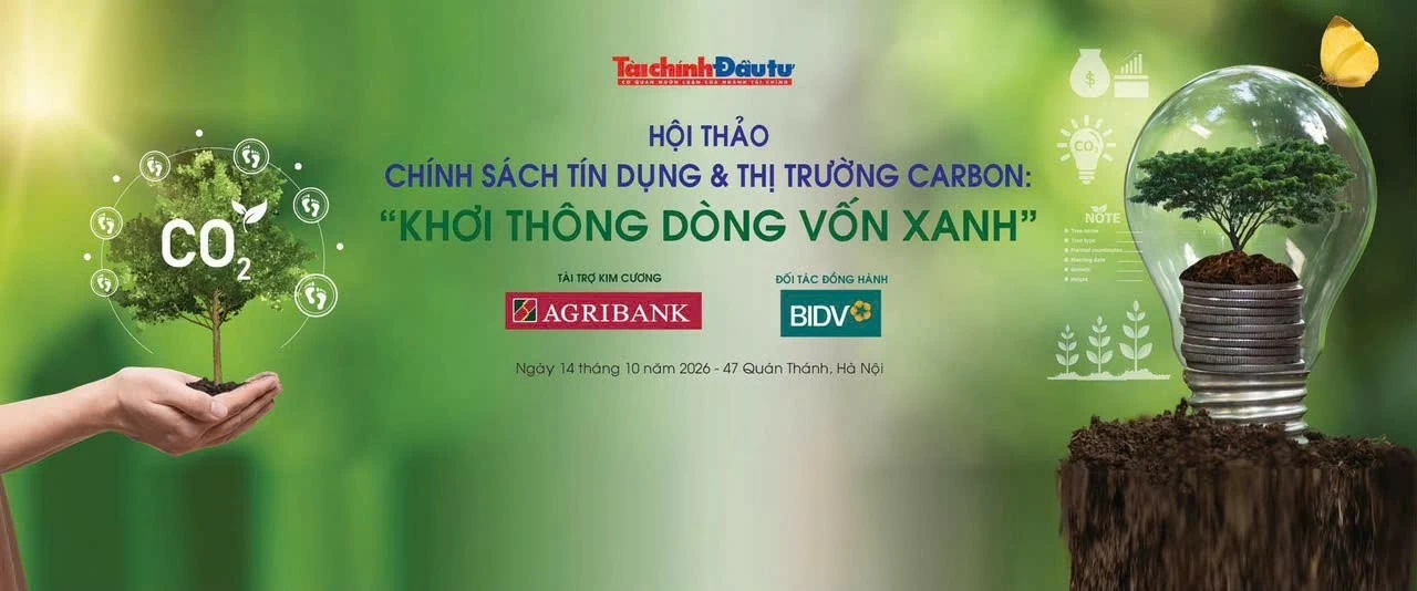 Thị trường carbon: Từ giá trị giảm phát thải đến dòng vốn xanh Thị trường carbon: Từ giá trị giảm phát thải đến dòng vốn xanh