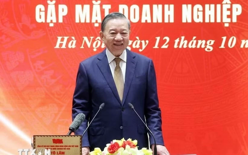 tong bi thu chu tich nuoc to lam doanh nghiep vung manh gop phan boi dap suc manh quoc gia