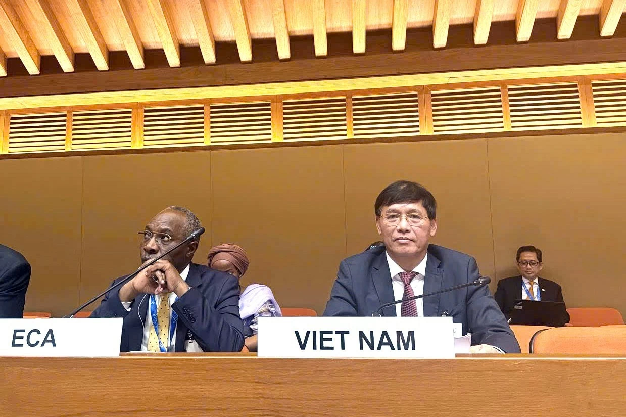 Việt Nam tích cực đàm phán hướng tới một khuôn khổ hợp tác thuế cân bằng, minh bạch Việt Nam tích cực đàm phán hướng tới một khuôn khổ hợp tác thuế cân bằng, minh bạch