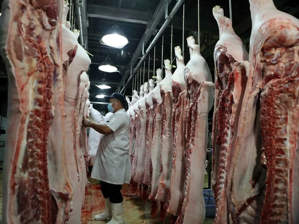 58 th&ocirc;ng b&aacute;o SPS trong nửa đầu th&aacute;ng 10: Doanh nghiệp xuất khẩu cần lưu &yacute; y&ecirc;u cầu mới của c&aacute;c thị trường