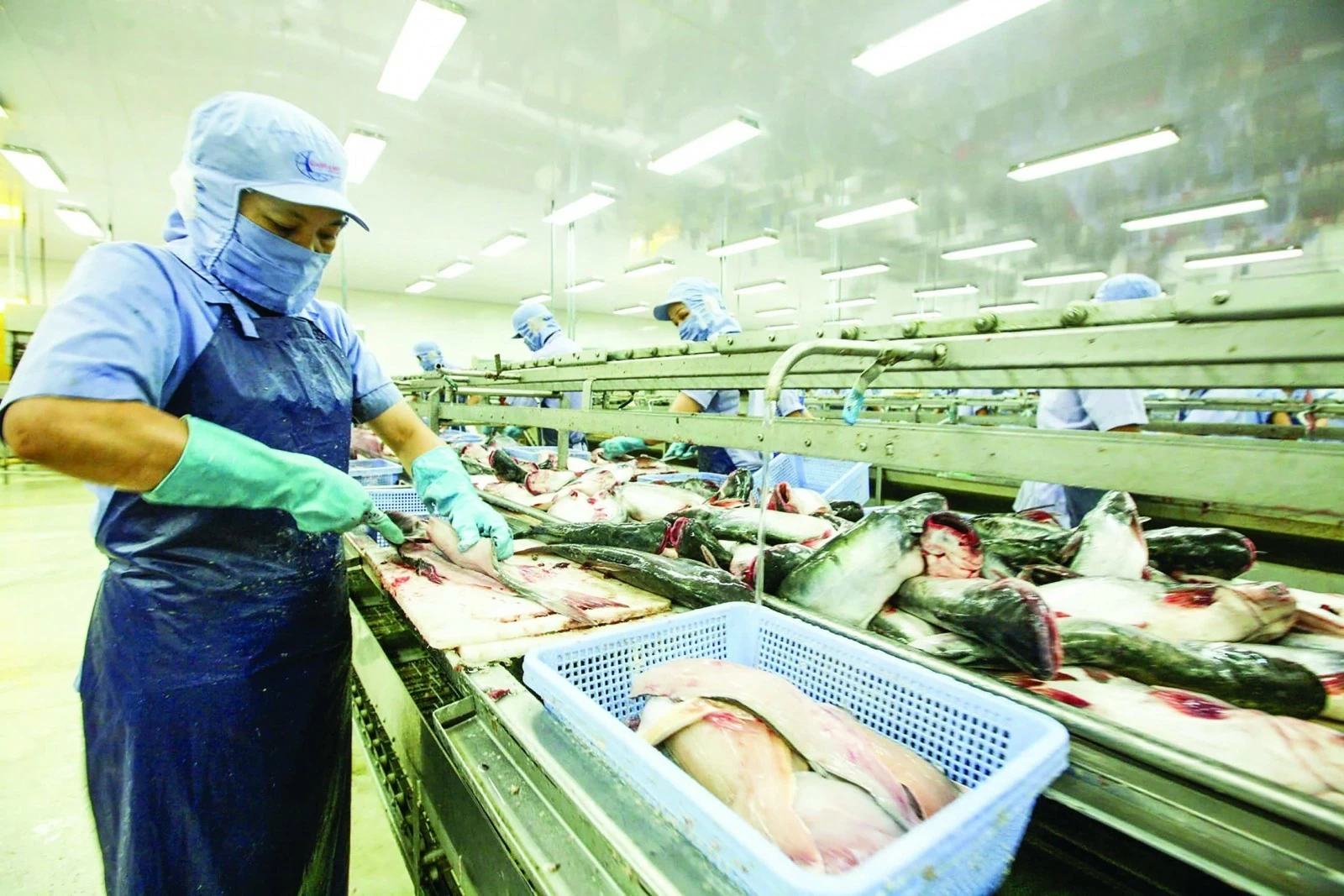 Thương mại Việt Nam rộng cửa đón cơ hội mới