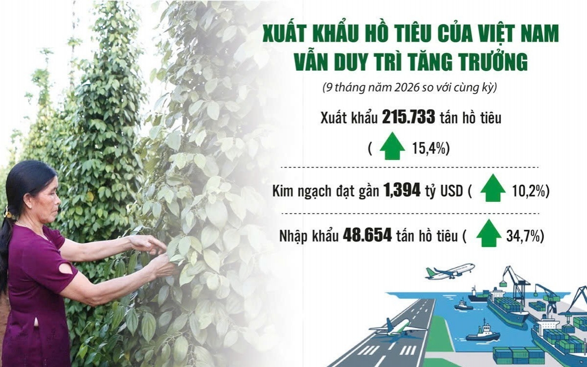 Nâng cao chất lượng hồ tiêu xuất khẩu trước áp lực cạnh tranh