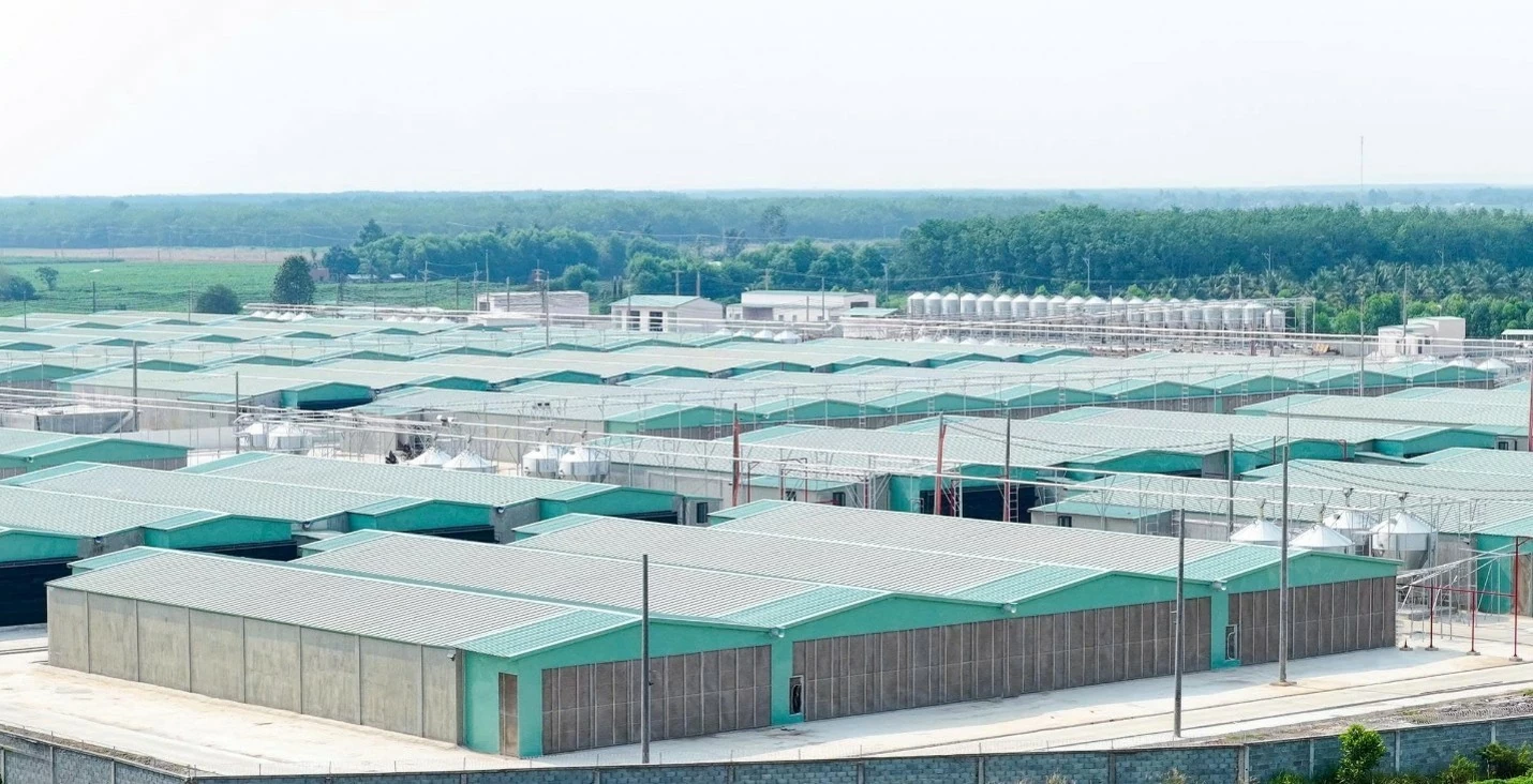 BAF: Tăng trưởng doanh thu, mở rộng kênh phân phối thịt sạch