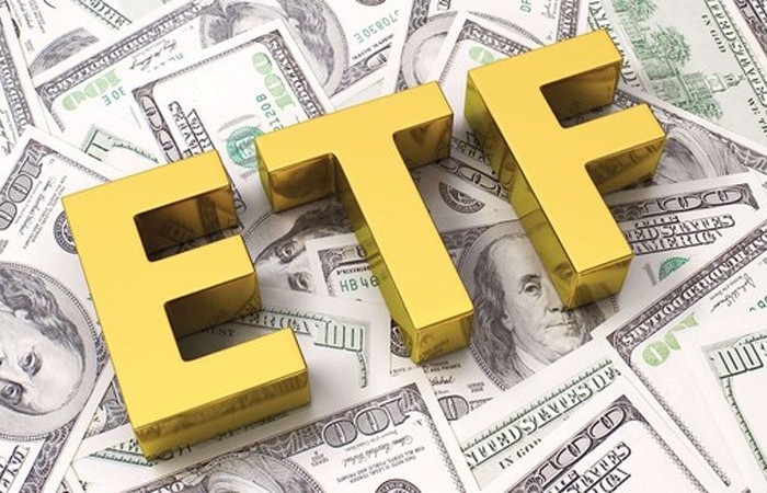 VND, NLG, CEO, PVD, VIX có thể được hai ETF ngoại gọi tên