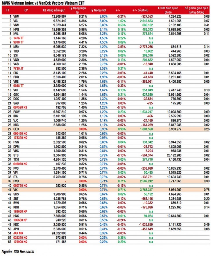 VND, NLG, CEO, PVD, VIX có thể được hai ETF ngoại gọi tên