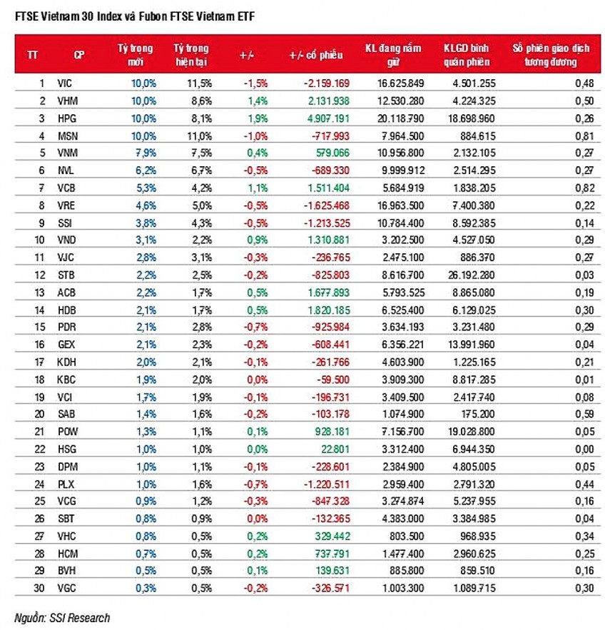 VND, NLG, CEO, PVD, VIX có thể được hai ETF ngoại gọi tên