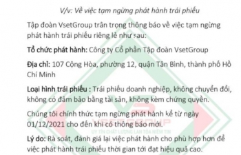 VSETGroup thông báo tạm ngừng phát hành trái phiếu sau khi bị phạt