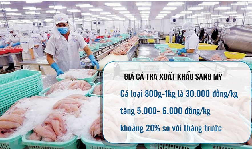 Xuất khẩu cá tra nhiều dấu hiệu khả quan hơn trong năm 2022