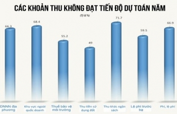 Cục Thuế tỉnh Cà Mau: Áp lực giảm thu do ảnh hưởng dịch Covid-19