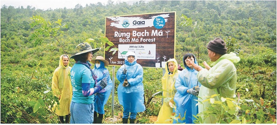 “Góp mail trồng rừng” cùng khách hàng ủng hộ 2.000 cây tới Vườn quốc gia Bạch Mã