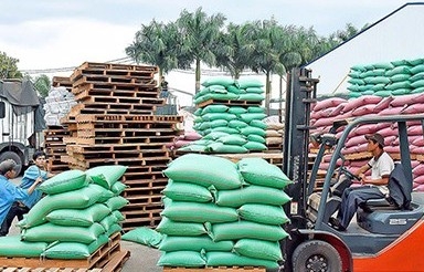 Gia Lai: Chuyển đổi số đồng hành cùng doanh nghiệp phát triển bền vững