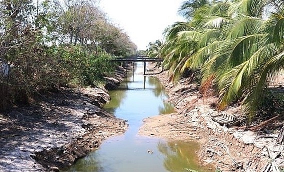 Chủ động, linh hoạt các giải pháp ứng phó với xâm nhập mặn