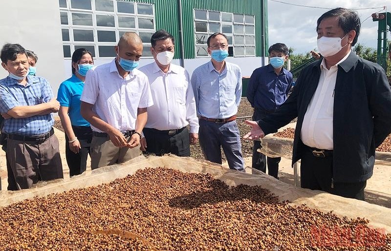 Nâng tầm vị thế cho nông sản vùng Tây Nguyên