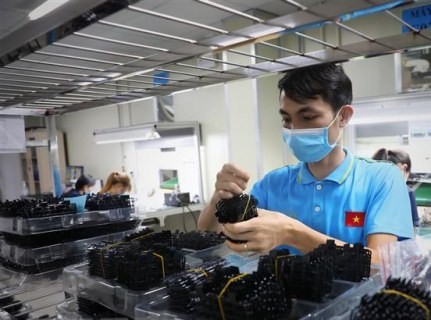 TP. Hồ Chí Minh: 7.872 doanh nghiệp công nghiệp đăng ký hoạt động trở lại