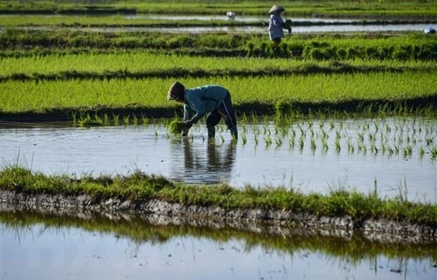 Indonesia phân bổ gần 1 tỷ USD để phục hồi kinh tế trong năm 2022
