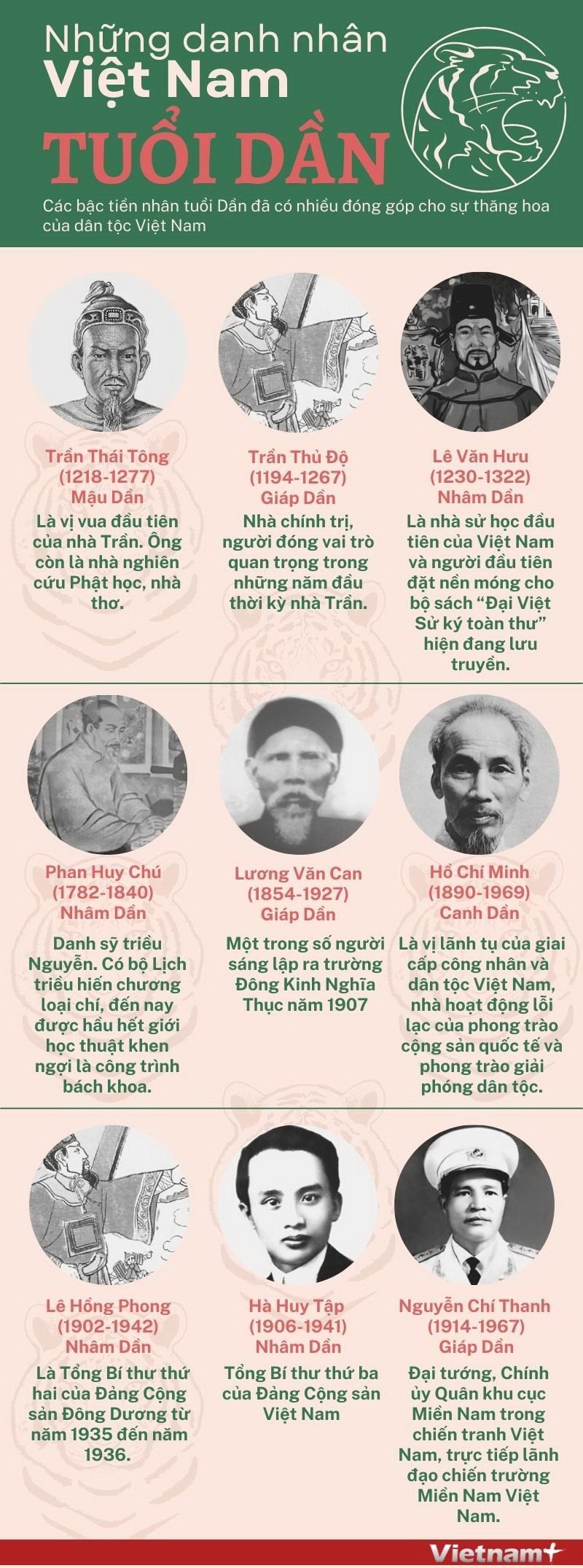 1. Tổng Quan Về Tuổi Dần