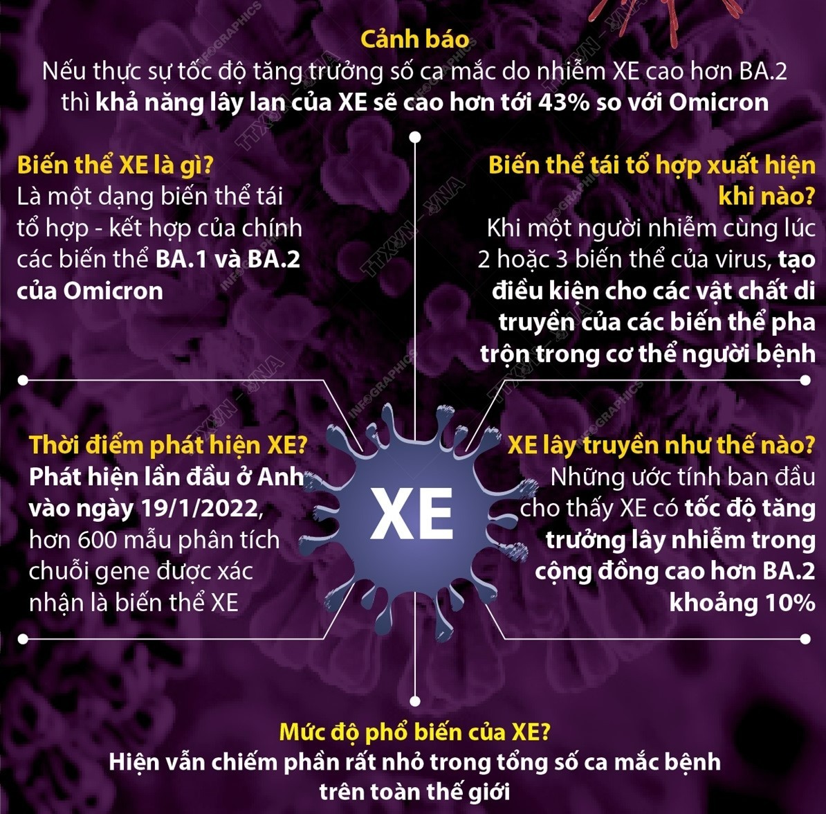 Biến thể mới XE của virus SARS-CoV-2