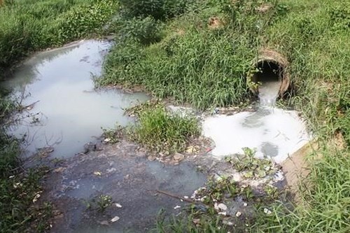 Đắk Nông: Xả thải ô nhiễm môi trường, một hộ bị xử phạt 253 triệu đồng