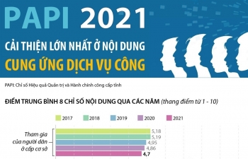 PAPI 2021: Cải thiện lớn nhất ở nội dung Cung ứng dịch vụ công