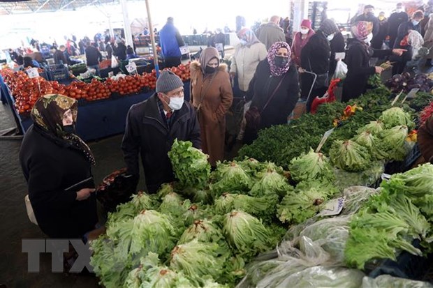 Lạm phát của Thổ Nhĩ Kỳ lên gần mức 70% trong tháng Tư hình ảnh 1 Lam phat cua Tho Nhi Ky len gan muc 70% trong thang Tu hinh anh 1