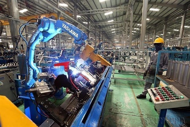 Foreign experts hail Vietnam’s efforts to curb inflation hinh anh 2