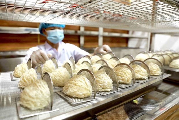 Vietnam bird's nests to enter Chinese market through official channel