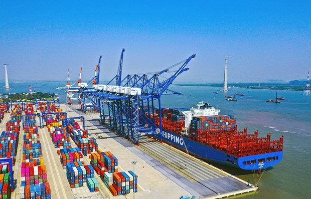 Ports see increase in goods handling despite COVID-19 hinh anh 1