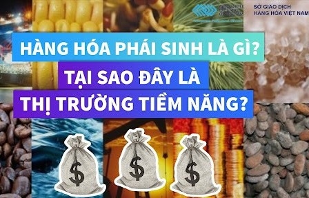 phat trien hoat dong giao dich phai sinh hang hoa kinh nghiem quoc te va bai hoc cho viet nam