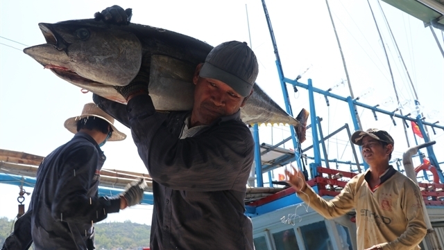 Vietnam’s tuna exports to EU see strong surge thanks to EVFTA
