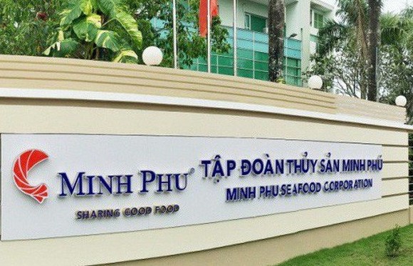 Vua tôm Minh Phú (MPC) phải trích lập hơn 60% số tiền đầu tư chứng khoán