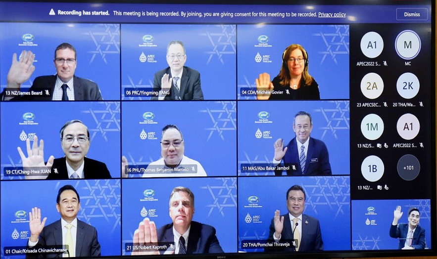 Bộ Tài chính Việt Nam dự tham dự Hội nghị trực tuyến Thứ trưởng Tài chính và Phó Thống đốc Ngân hàng Trung ương APEC (FCBDM) năm 2022