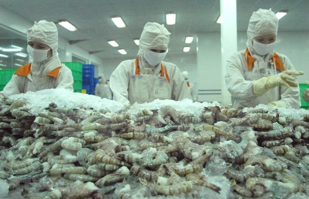 Shrimp remains Vietnam’s largest currency earner among fishery products