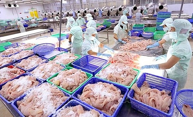 Vietnamese seafood sector to enjoy strong growth in 2021-2030: Report