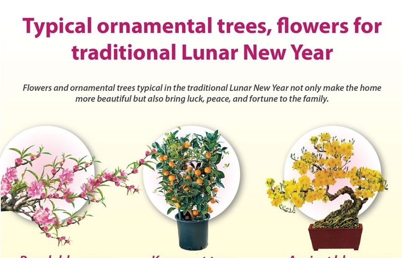 Typical ornamental trees, flowers for traditional Lunar New Year