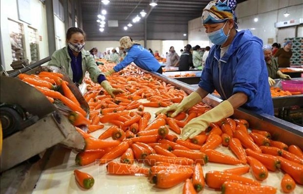 Vietnam expects more markets to open to farm produce in 2023