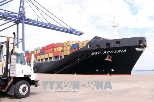 Seaports nationwide busy through Tet break hinh anh 1