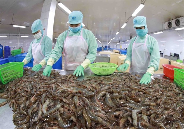 Seafood exporters' profit projected to fall in 2023 hinh anh 1